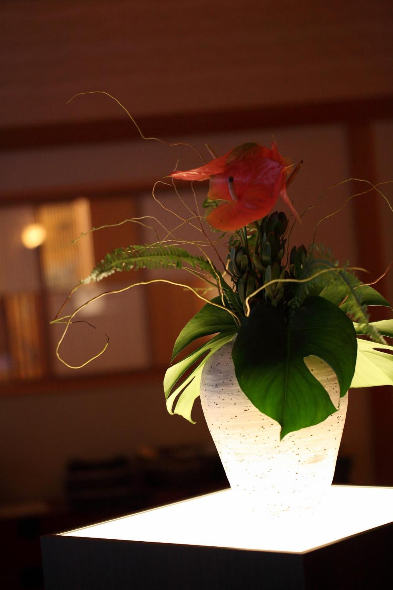 Kyo Yunohana Resort Suisen Kameoka Zewnętrze zdjęcie